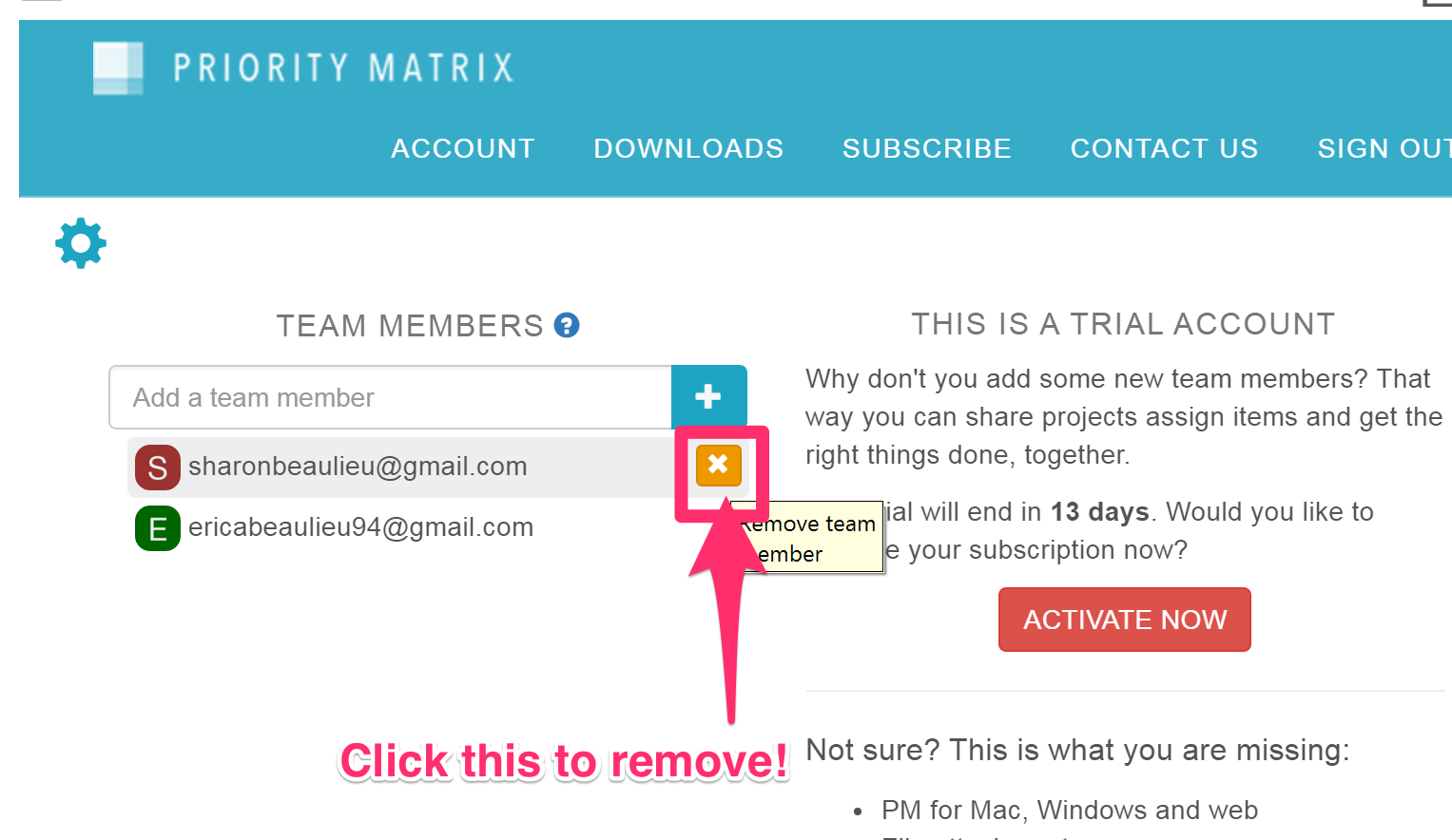 how-do-i-add-remove-a-team-member-on-windows